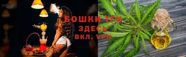 spice Абаза