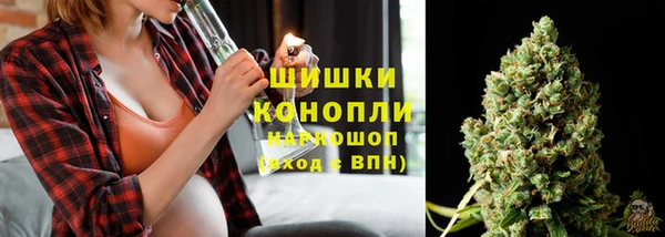 spice Абаза