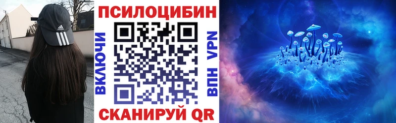 Галлюциногенные грибы Psilocybine cubensis  Хадыженск 