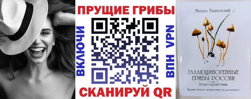 Галлюциногенные грибы GOLDEN TEACHER Хадыженск
